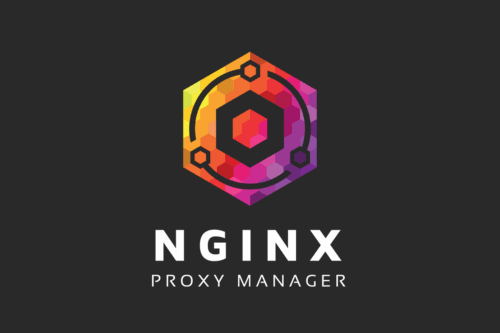 Nginx Proxy Manager обратный прокси для домашнего сервера