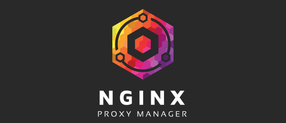 Nginx Proxy Manager обратный прокси для домашнего сервера